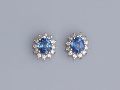 null Pair of 18K white gold earrings, each set with an oval sapphire of about 0.40...