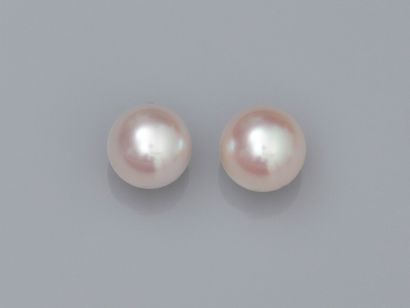 null Pair of earrings, set with japanese Akoya cultured pearls of diameter: 7.5/8...