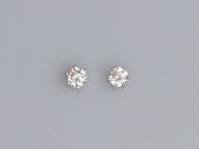 null Paire de puces en or gris 750°/00 (18K) , serties chacune d'un petit diamant...