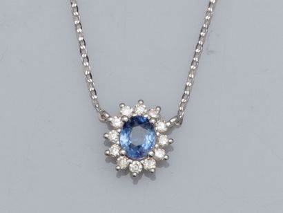 null Necklace in 750°/00 white gold (18K), oval sapphire (about 0.45 ct) surrounded...