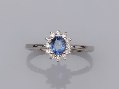 null Ring in white gold 750°/00 (18K), set with an oval sapphire of about 0.50 ct,...