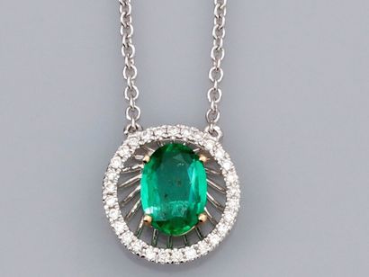 null Necklace in 750°/00 (18K) white gold, jaseron mesh, centered by an oval emerald...