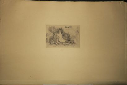null ROPS Félicien (1833 1898) - 2 planches : "La dame à la fourrure" (1878) Héliogravure...