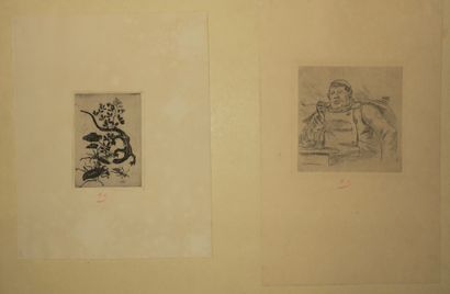 null ROPS Félicien (1833 1898) - 2 planches: "Lézard japonais" (1876), eau-forte...