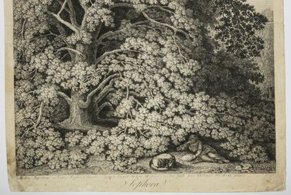 null HACKERT Jacob Philipp (Prenzlau, Allemagne 1737 Florence 1807) - "Sophora /...