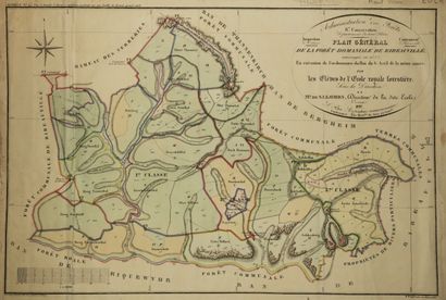 null HAUT-RHIN (68) - RIBEAUVILLE - "PLAN GENERAL de la Forêt Domaniale de Ribeauvillé,...