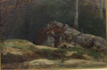 null CABAT Nicolas-Louis (Paris 1802-id. 1893) : « Paysage aux rochers dans la forêt »....