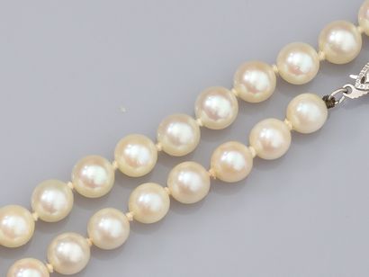 null Necklace with Akoya cultured pearls, diameter 6/6.5 mm, white gold 585°/°° clasp....