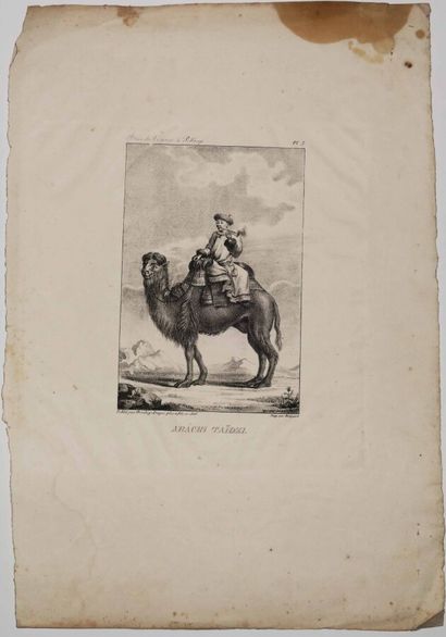 null CHINE - "ARACHI TAIDZI". 1826. Lithographie. Papier vélin. Planche 5 de la série...