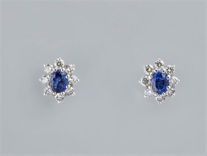 null Pair of flower earrings in 18K white gold, set with small oval sapphires surrounded...