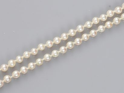 null Collier de perles de culture Akoya de diamètre 4/4.5 mm, fermoir en or gris...