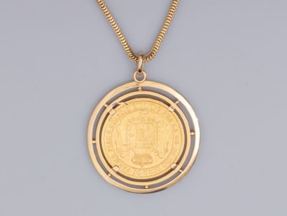 null Long chain in yellow gold 750°/°°(18K), snake chain and pendant in yellow gold...