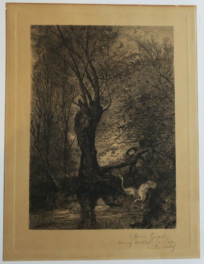 null BODMER Karl (Zurich 1809 Barbizon 1893) (d'après) - [Deux hérons dans une forêt]....