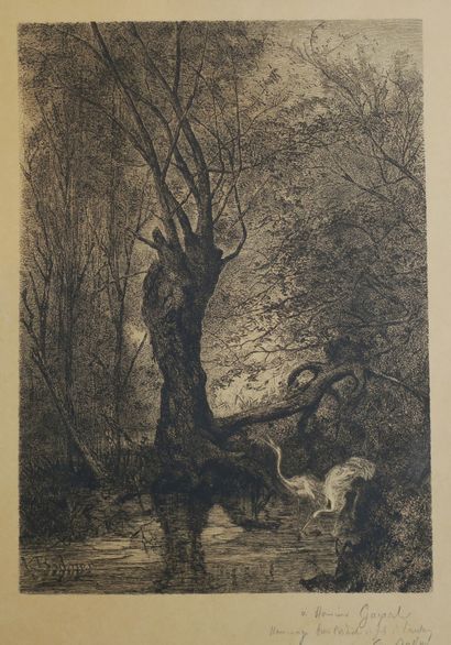 null BODMER Karl (Zurich 1809 Barbizon 1893) (d'après) - [Deux hérons dans une forêt]....