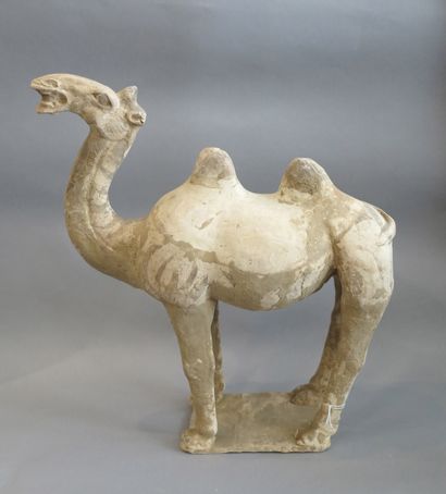 null A blatant camel standing still on a rectangular terrace. 

Terracotta, traces...
