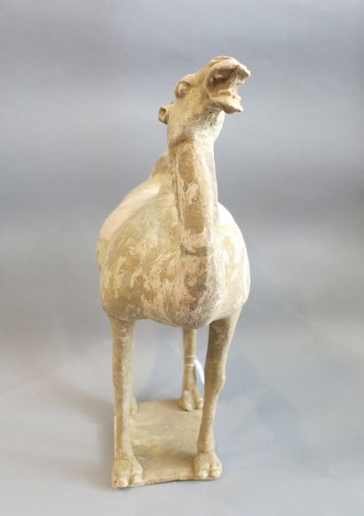 null A blatant camel standing still on a rectangular terrace. 

Terracotta, traces...