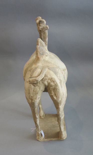 null A blatant camel standing still on a rectangular terrace. 

Terracotta, traces...