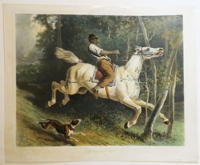 null CHEVAUX - DE DREUX - "Cheval emporté". 1860. Lithographié par Emile Lassalle,...
