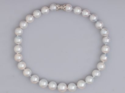 null Important collier de perles des Mers du Sud composé de 29 perles australiennes...