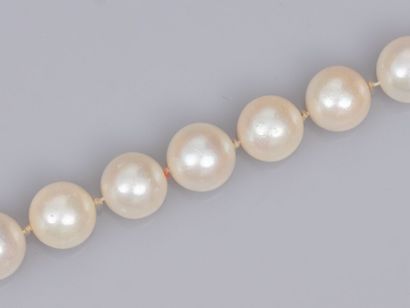 null Bracelet de perles de culture Akoya, de diamètre 8/8.5 mm, fermoir fuseau en...