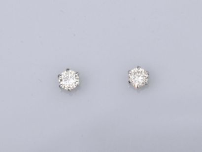 null Paire de puces en or gris 750°/°°(18K) , chacune est sertie d'un diamant taille...