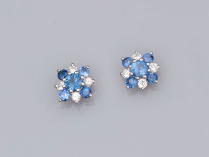 null Paire de boucles d'oreilles rosaces en or gris 750°/°°(18K) , serties de diamants...