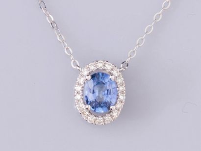 null Necklace in white gold 750°/°), set with an oval sapphire of 0.80 ct approximately,...