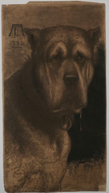 null LEFORT DES YLOUSES Arthur Henri (1846 - 1912) - [Tête de chien]. 1895. Gravure...