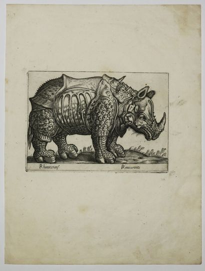 null TEMPESTA Antonio (1555 - 1630) - RHINOCEROS. "Rhinocerons/Rinoceronte". c.1620....
