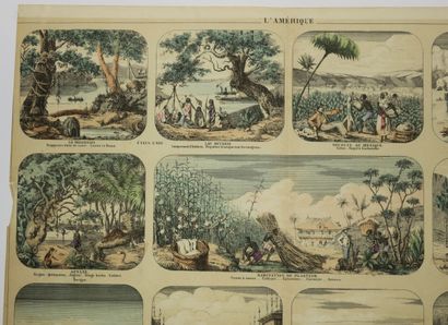 null AMERICA - 11 lithographed views on one sheet: MISSISSIPI, LAKE ONTARIO, RCEOLTE...