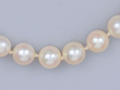 MIKIMOTO Collier de perles de culture Aboya...