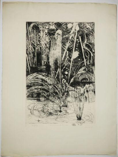 null GOERG Edouard (1893 - 1969) - Reunion of 2 etchings: 1-"Le feu d'artifice sur...