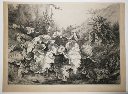 null BLERY Eugène (1805 - 1886) - [Etude dans la forêt]. 1842. Eau-forte. Epreuve...