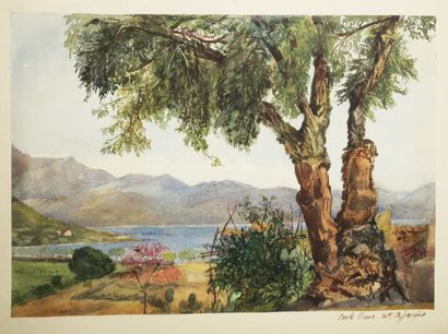 null CORSE - "Cork Trees", AJACCIO. XIXème. AQUARELLE sur papier. 24,7 x 34,4 cm....