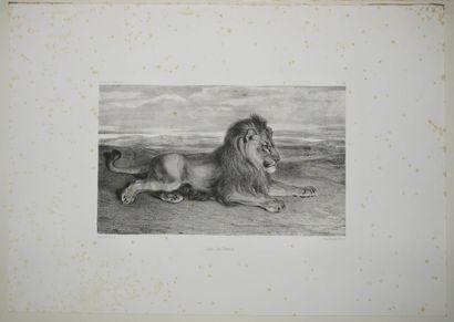 null BARYE Antoine-Louis (1796 - 1875) - Réunion de 3 lithographies: 1-"Lion de Perse"...