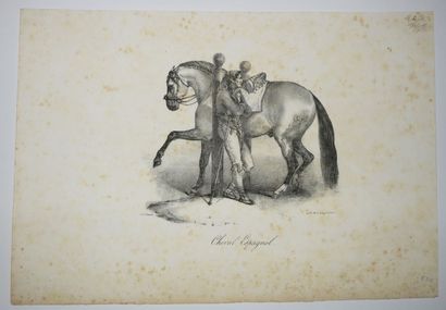 null GERICAULT Théodore (1791 - 1824) - Réunion de 2 lithographies: 1-"Cheval espagnol"....