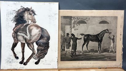 null LOT of 5 plates on the theme of HORSES including engravings after VERNET, in...