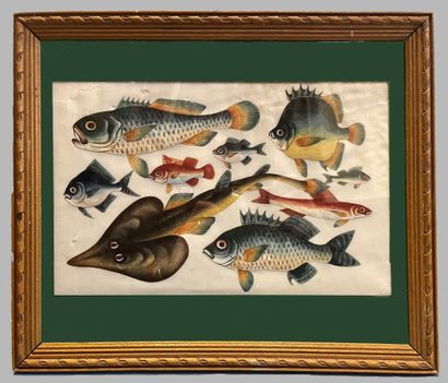 (ART D'ASIE) - Anonyme - [ Poissons ], Ca....