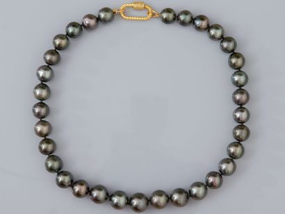 null Collier de perles de culture de Tahiti en chute de diamètre 12 à 14.5 mm. Fermoir...