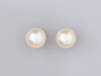 null paire de boucles d'oreilles serties de perles de culture de diamètre 7.5/8 mm,...