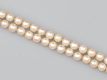 Collier de petites perles de culture Akoya...