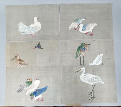 null UNION of 6 DRAWINGS on paper. [BIRDS]. 30 x 44,5 cm approximately each. Condition...