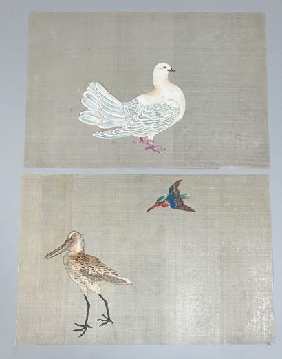 null UNION of 6 DRAWINGS on paper. [BIRDS]. 30 x 44,5 cm approximately each. Condition...