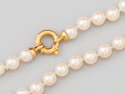 Necklace of Akoya cultured pearls, diameter...