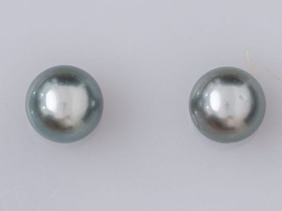 null Paires de boucles d'oreilles en or jaune 750°/°°(18K) , serties de perles de...