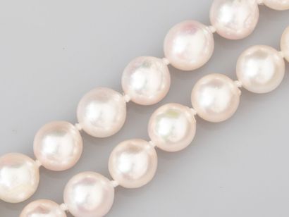 Sautoir of Akoya cultured pearls, 7.5/8 mm...