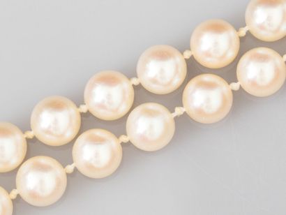 Necklace of Akoya cultured pearls, diameter...