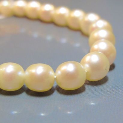 null Bracelet formé de perles de culture en chute, fermoir olive en or jaune. L :...