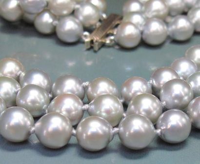 null Collier trois rangs de perles de culture grises teintées, le fermoir en or gris...