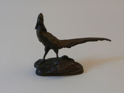 A. CAIN «Faisan». Bronze à patine (accident à la queue). Haut.: 14, 5cm
